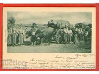 TRAVELED postcard COSTUMES and OX WAGON LITTLE LION 1901