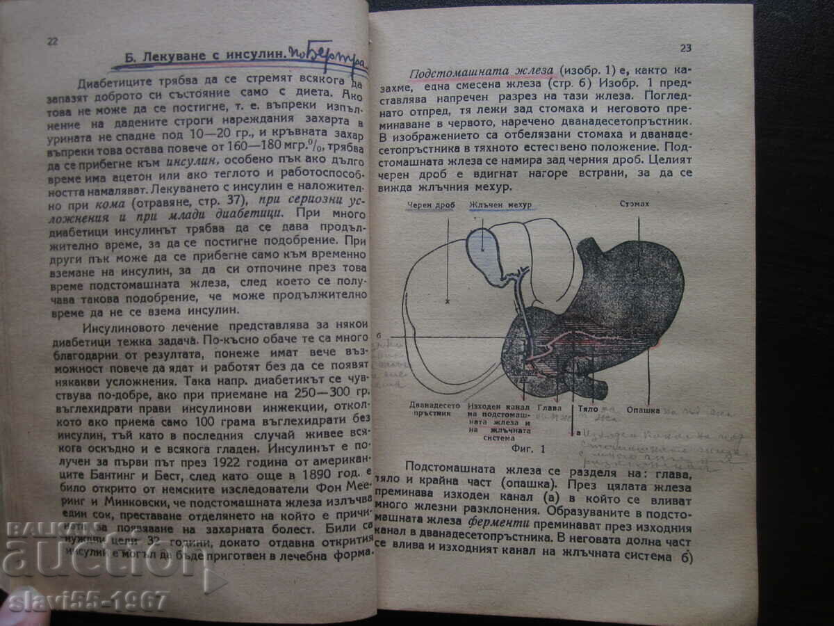 Licitație CE TREBUIE SĂ ȘTIE PACIENȚII CU DIABET 1945 !!! Licitație CE TREBUIE SĂ ȘTIE PACIENȚII CU DIABET 1945 !!!