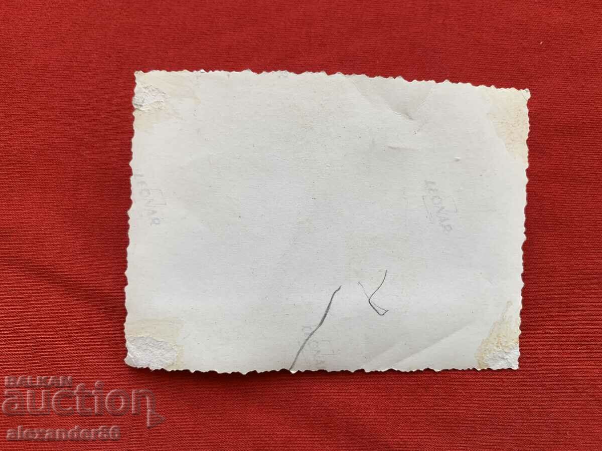 Foto veche copil pe cămilă - 5 Foto veche copil pe cămilă - 5