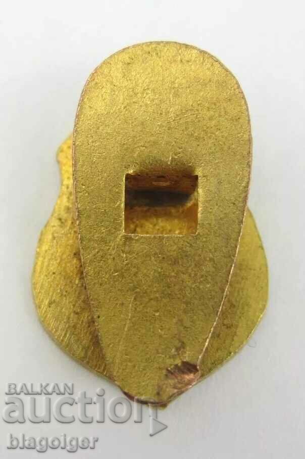 Delivery of Old Badge-SK Heliolido Cairo Egypt-Enamel-Buttonella Delivery of Old Badge-SK Heliolido Cairo Egypt-Enamel-Buttonella