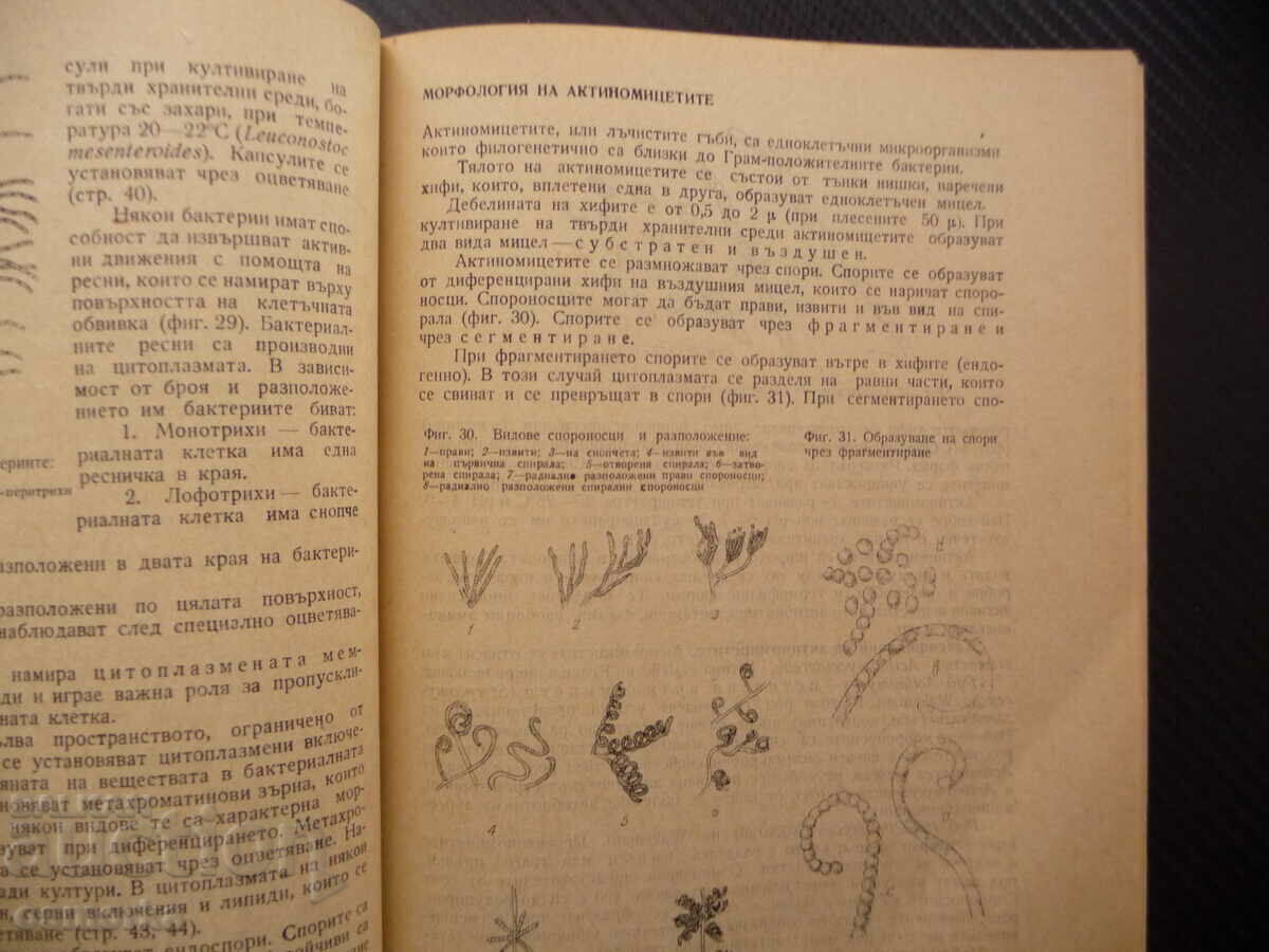 Auction Exercise guide in microbiology morphology fermen Auction Exercise guide in microbiology morphology fermen