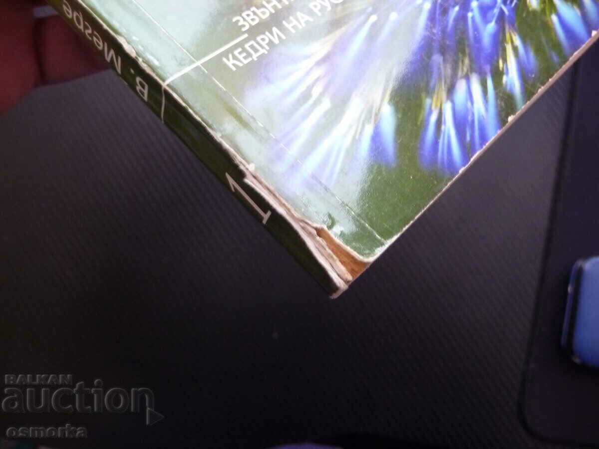 Anastasia Vladimir Megre book 1 The Ringing Cedars of Russia - 5 Anastasia Vladimir Megre book 1 The Ringing Cedars of Russia - 5