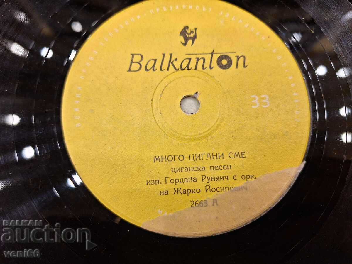 Auction  2668 Gordana Runjaich