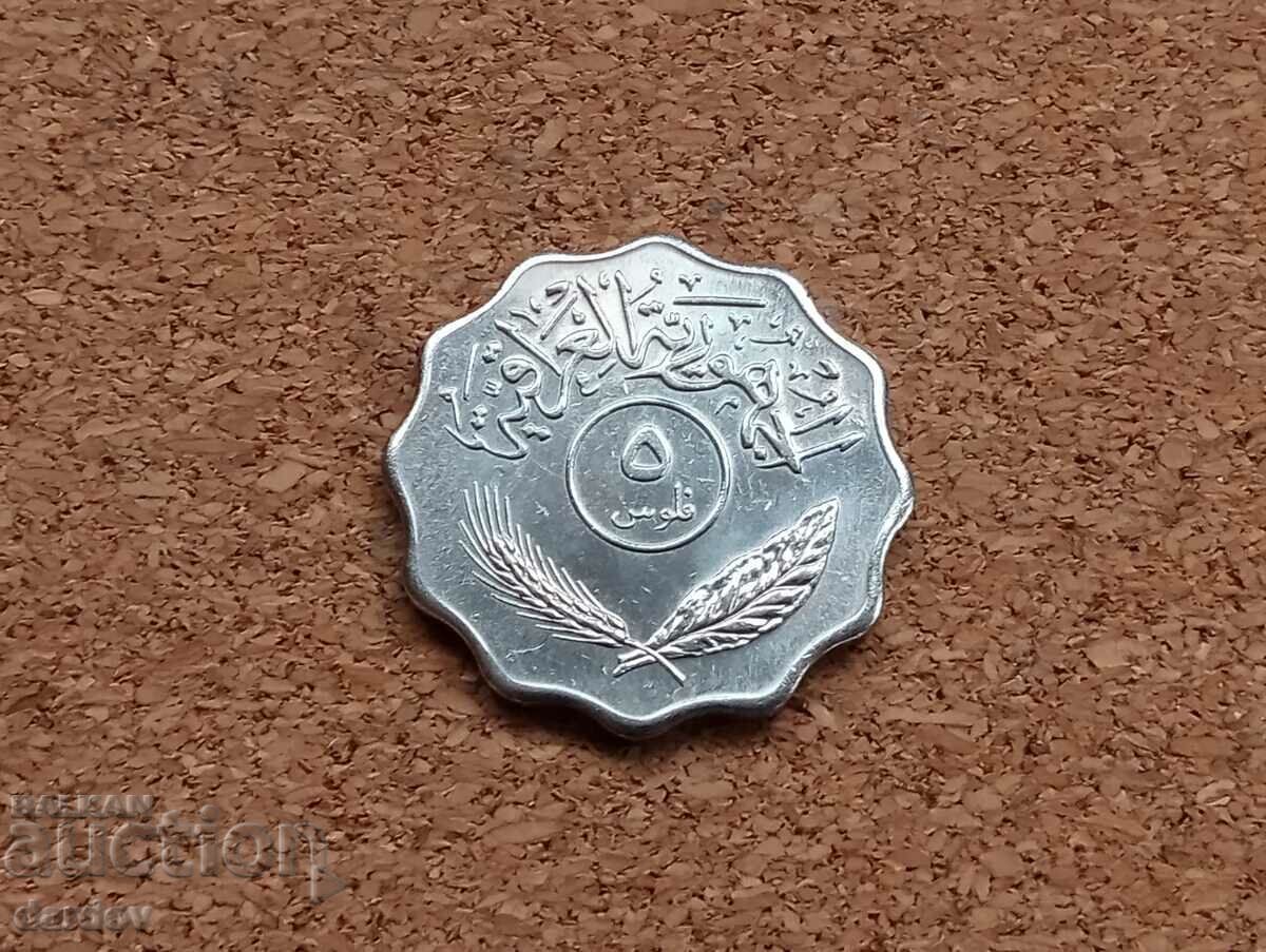 Ирак 5 филса 1981 год. с цена 1.90 лв. | € 0.97 Ирак 5 филса 1981 год. с цена 1.90 лв. | € 0.97