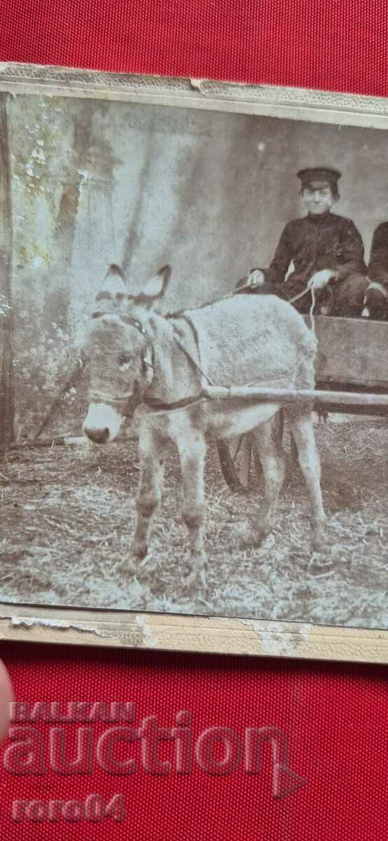 DONKEY - WAGON - CHILDREN - CARDBOARD with price 25.00 BGN | € 12.78