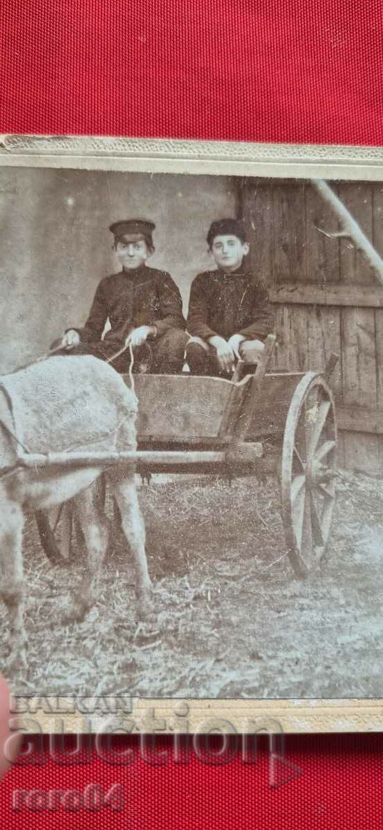 Auction  DONKEY - WAGON - CHILDREN - CARDBOARD