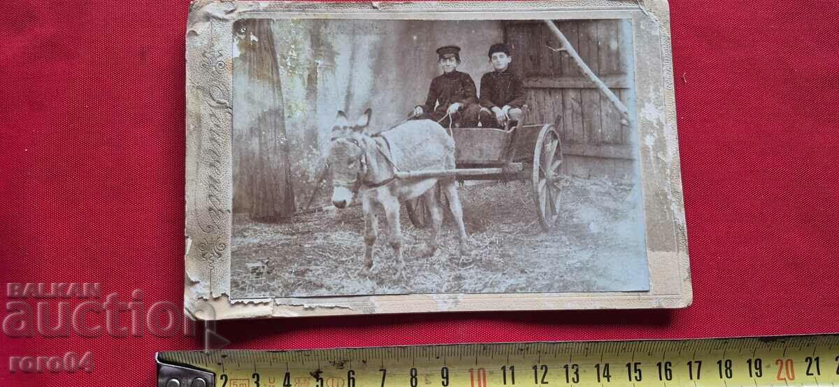 Delivery of DONKEY - WAGON - CHILDREN - CARDBOARD