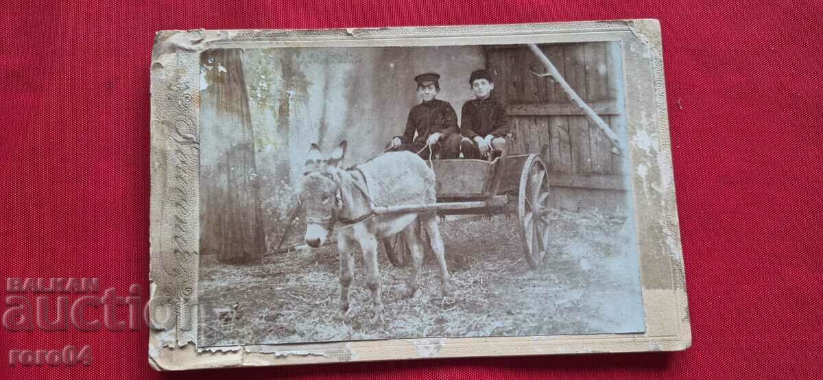 MĂGAR - CĂRĂ - COPII - CARTON