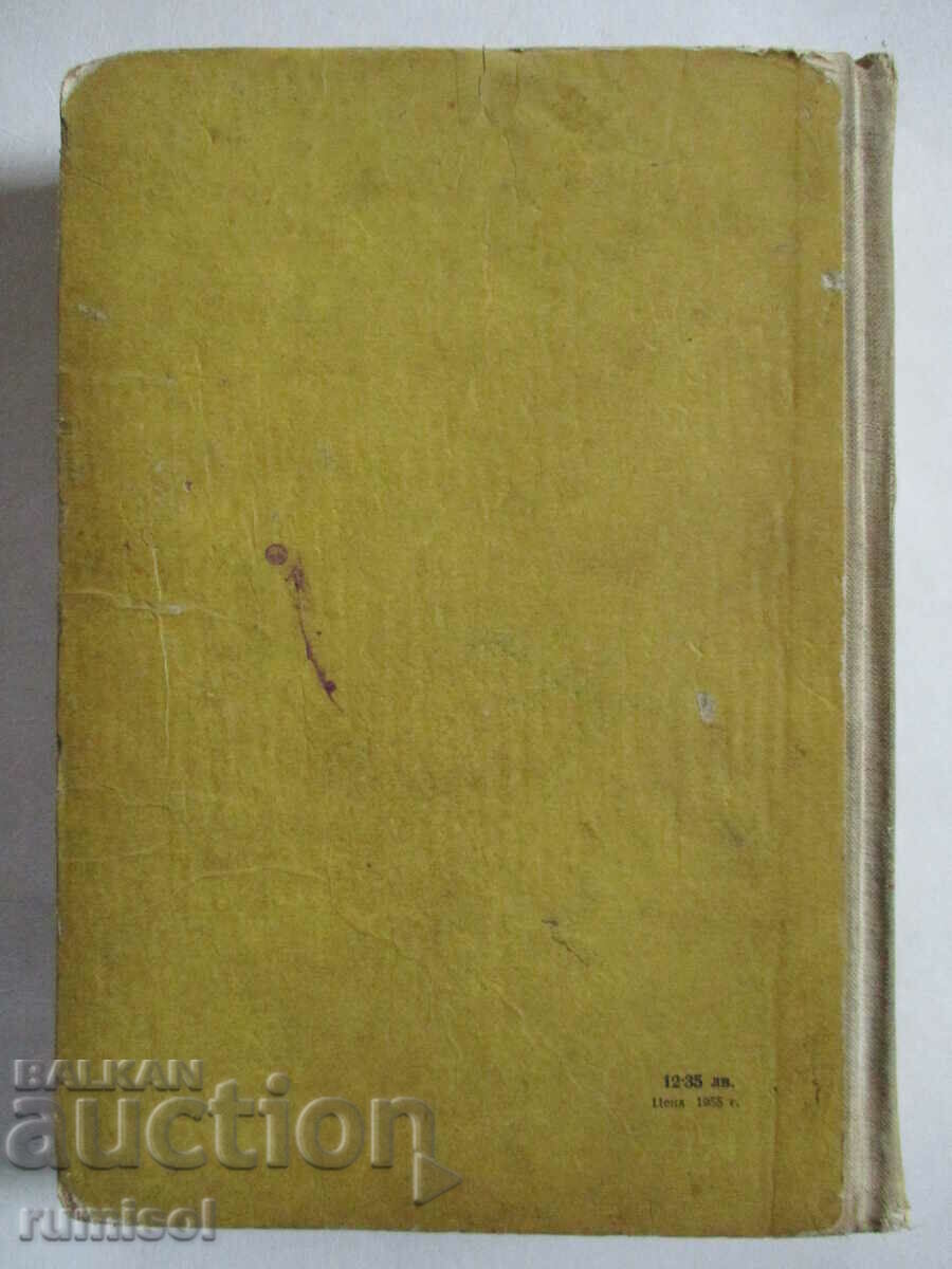 Nikola - Lyubov Rudneva - 6