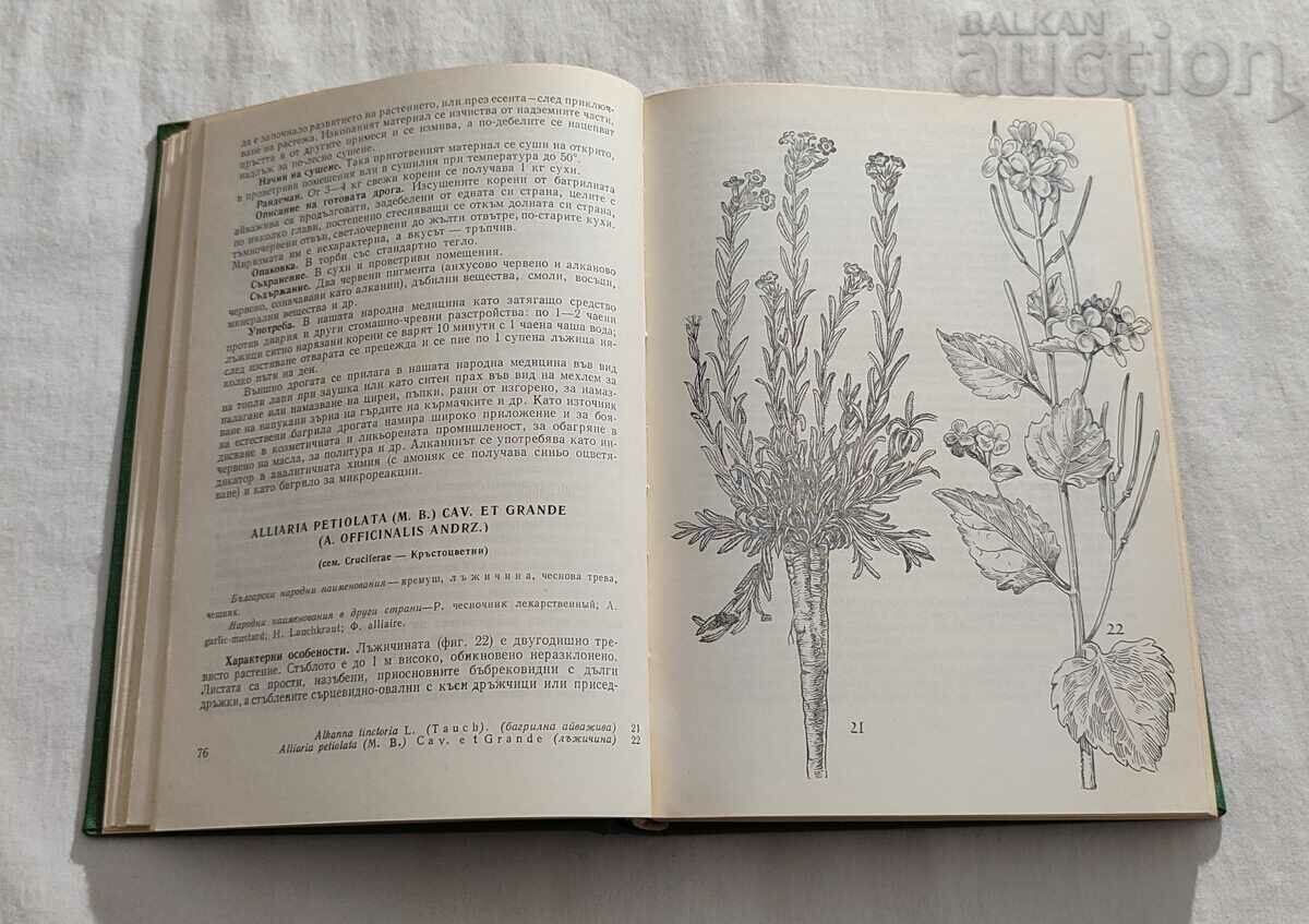 PLANTELE NOASTRE MEDICINALE PARTEA 1 N. STOYANOV 1972 cu preț 36.00 BGN | € 18.41