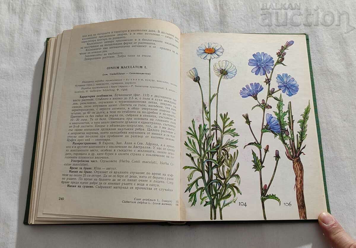 PLANTELE NOASTRE MEDICINALE PARTEA 1 N. STOYANOV 1972 - 5