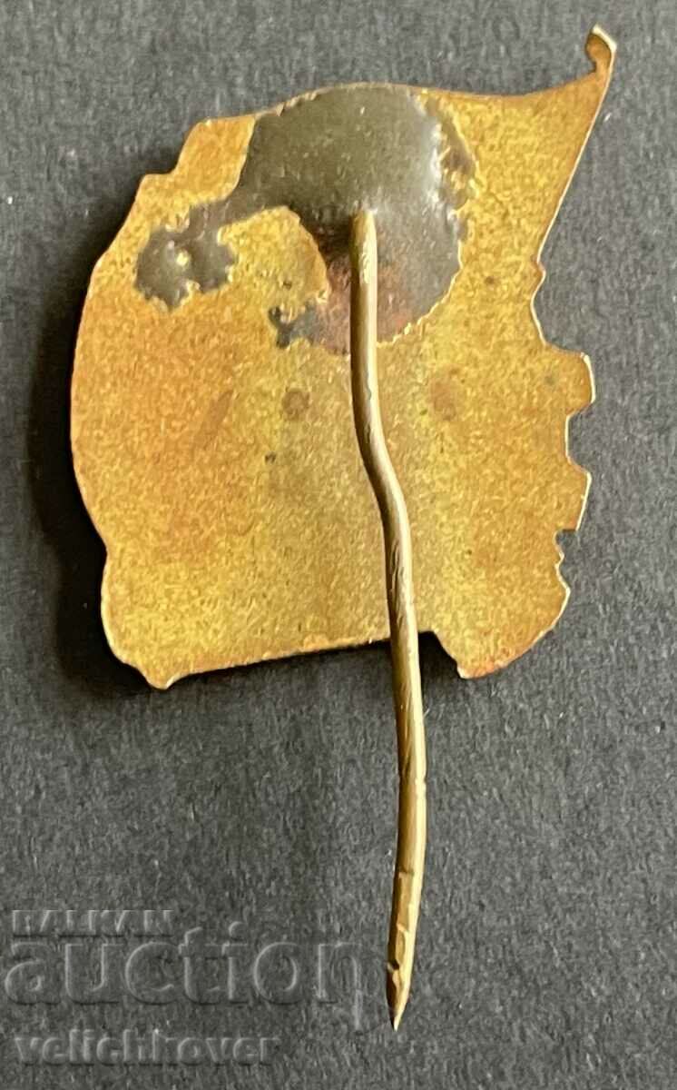 39263 Bulgaria Cellulosic paper mill Bukiovtsi Mizia with price 10.00 BGN | € 5.11 39263 Bulgaria Cellulosic paper mill Bukiovtsi Mizia with price 10.00 BGN | € 5.11