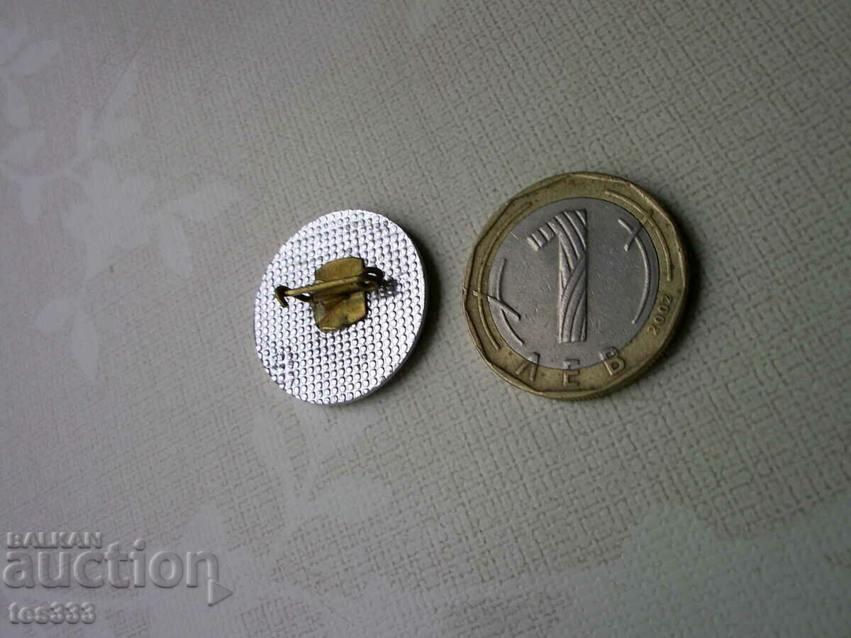 Значка Туристическо дружество Еделайс София 50 - 5 Значка Туристическо дружество Еделайс София 50 - 5