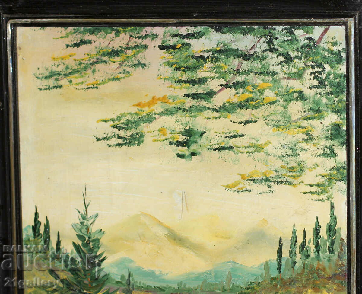 Auction Krasimir Nestorov Landscape oil paints 1995 Auction Krasimir Nestorov Landscape oil paints 1995