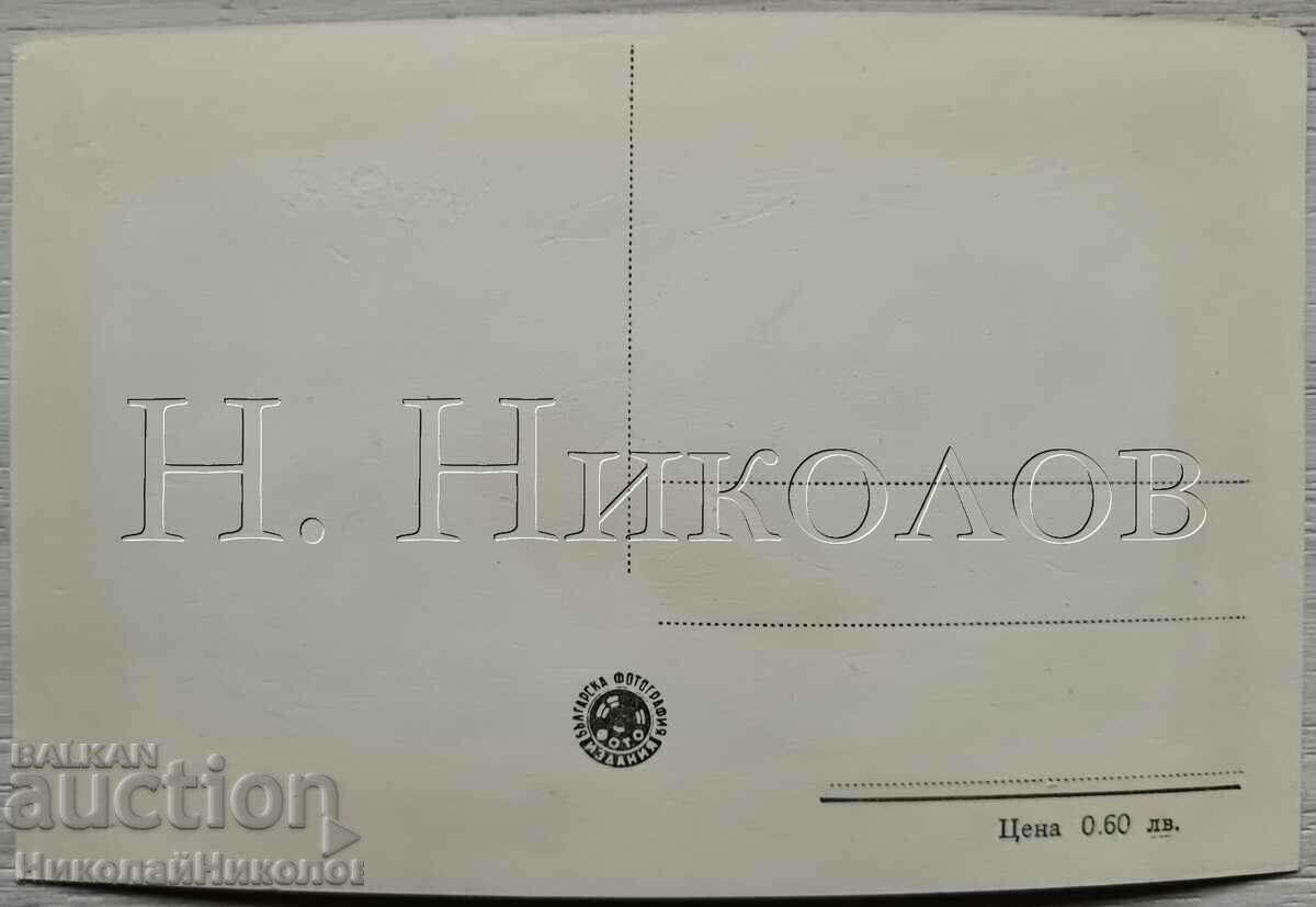 OLD CARD SILISTRA CORNER OF THE DANUBE GARDEN D227 with price 6.00 BGN | € 3.07 OLD CARD SILISTRA CORNER OF THE DANUBE GARDEN D227 with price 6.00 BGN | € 3.07