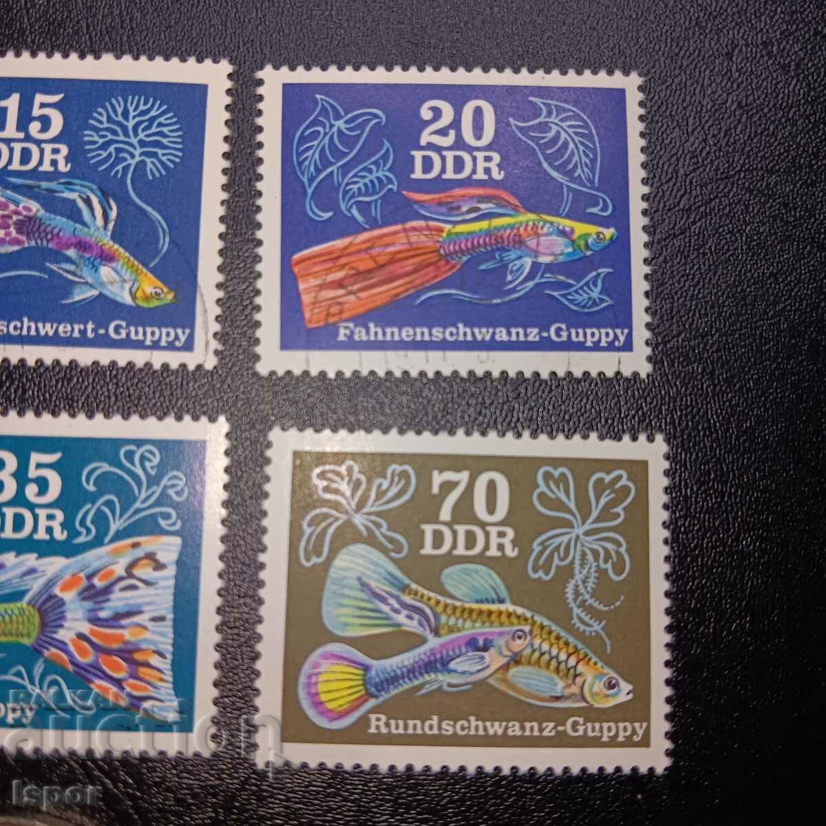 Доставка на ГДР чиста серия