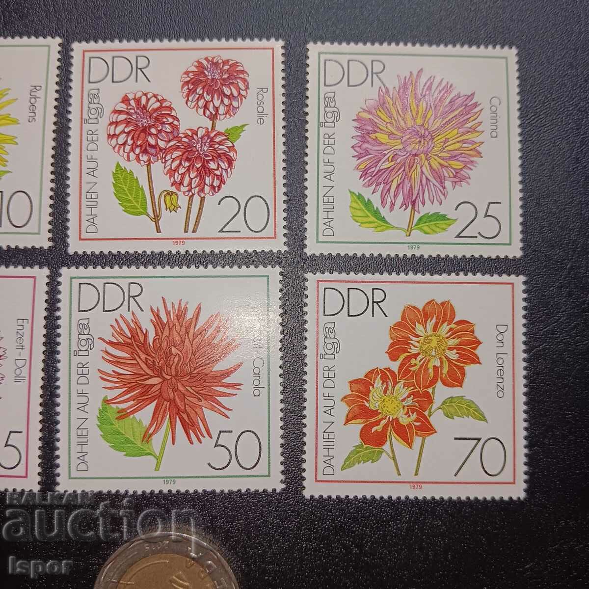 Auction  GDR clean streak