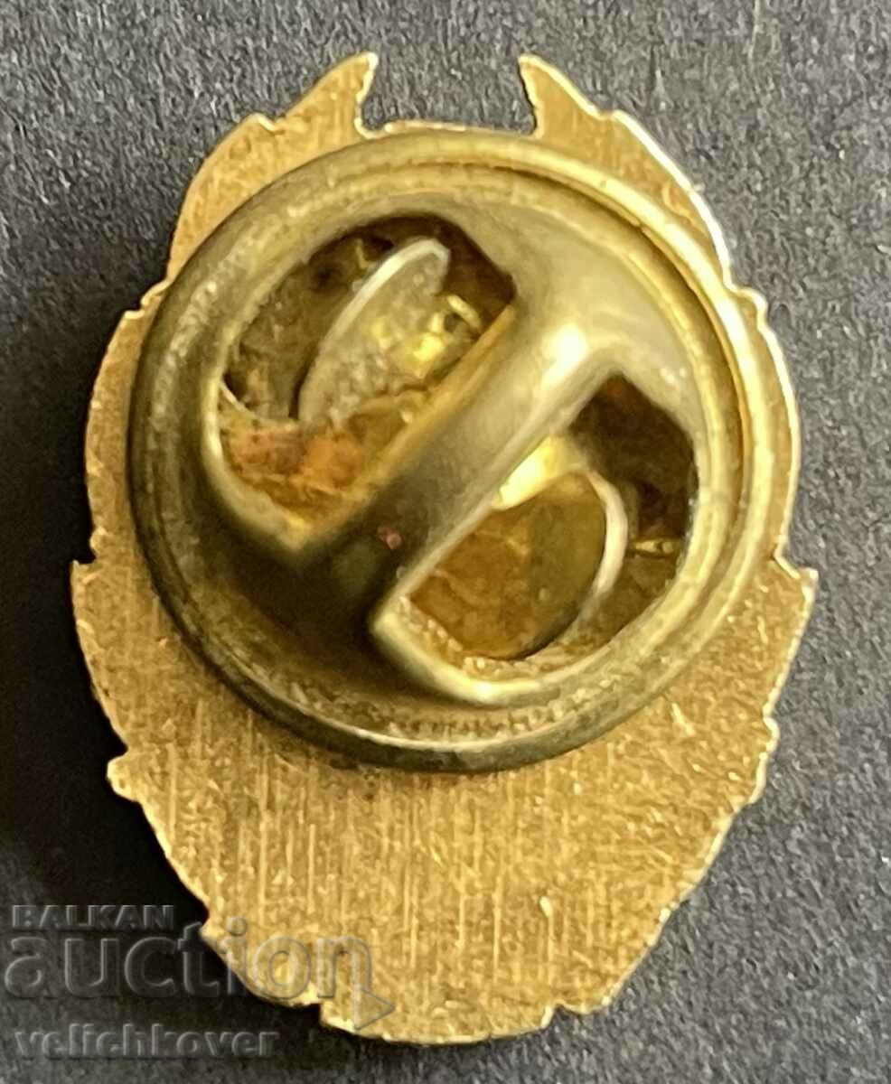 39300 Bulgaria award badge Ministry of Foreign Affairs miniature with price 50.00 BGN | € 25.56 39300 Bulgaria award badge Ministry of Foreign Affairs miniature with price 50.00 BGN | € 25.56