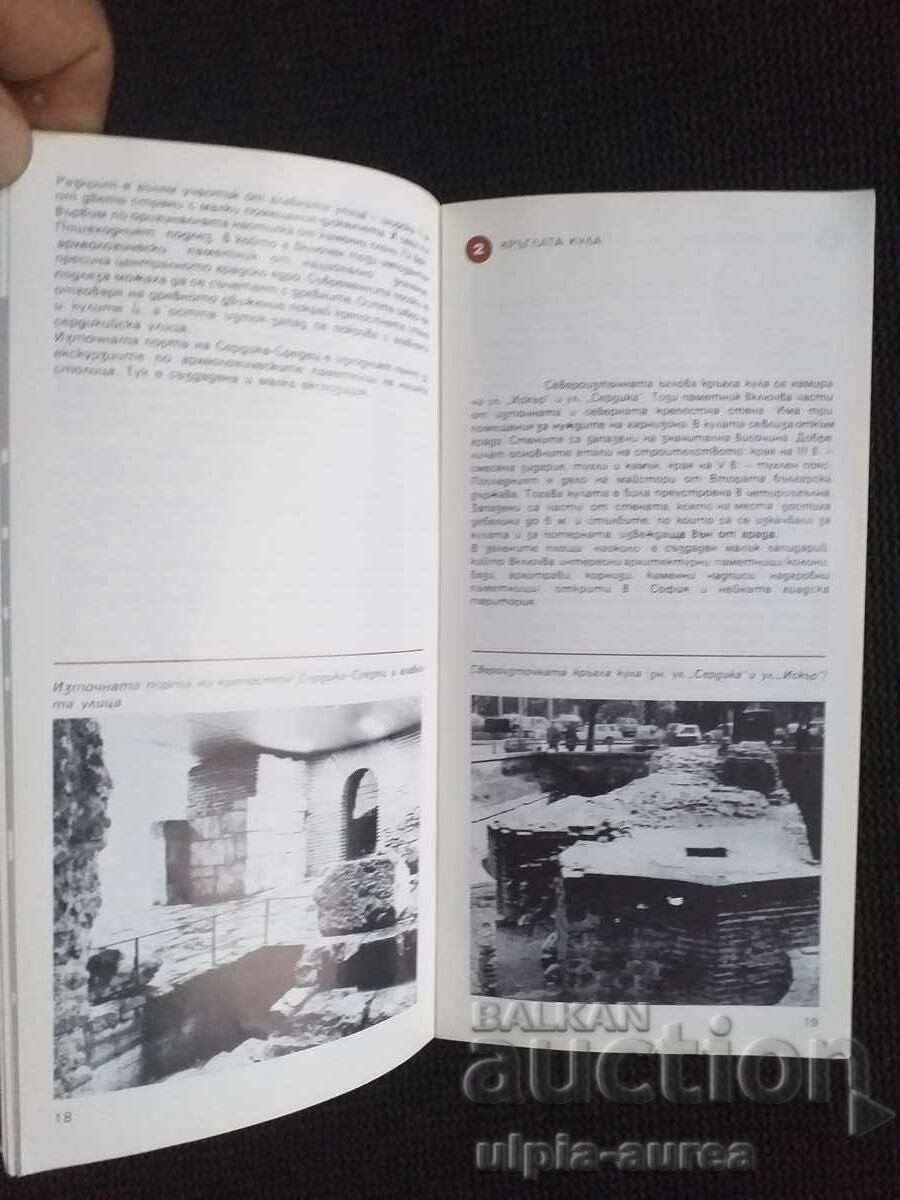 Auction  Sofia Social brochure