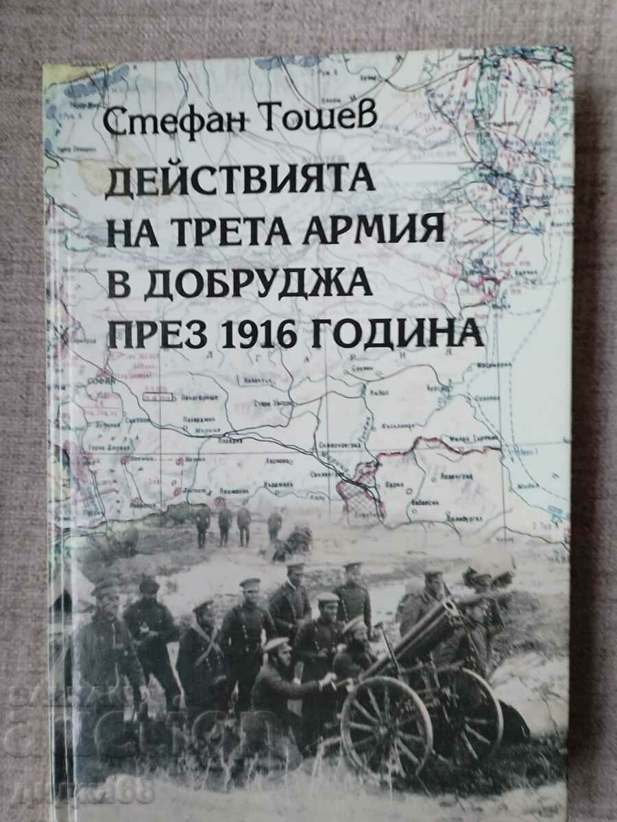 The actions of the Third Army in Dobruja 1916/Phototype edition