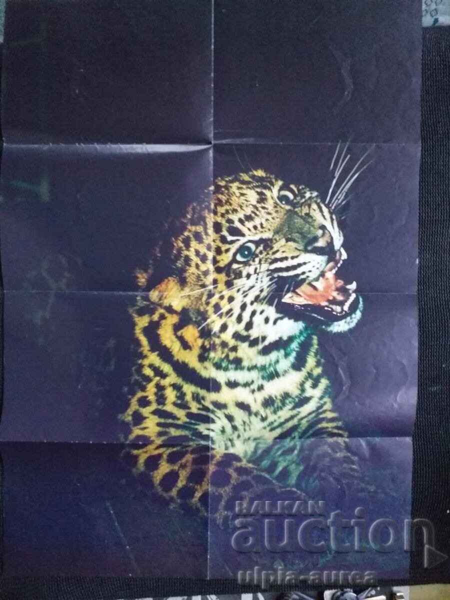 Sofia Zoo Social brochure with price 3.80 BGN | € 1.94 Sofia Zoo Social brochure with price 3.80 BGN | € 1.94