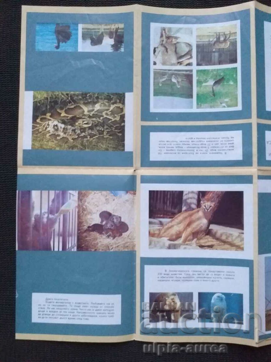 Auction Sofia Zoo Social brochure Auction Sofia Zoo Social brochure