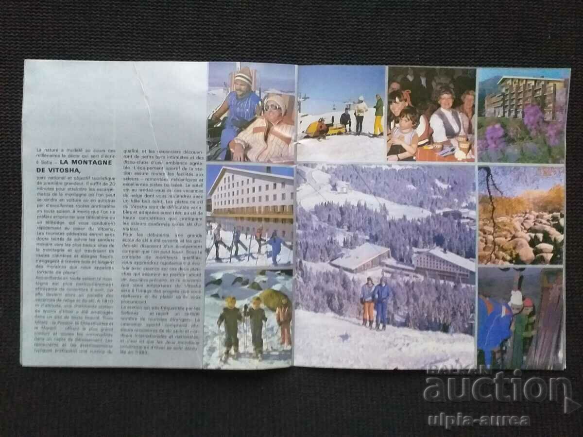 Delivery of Sofia Social brochure Delivery of Sofia Social brochure