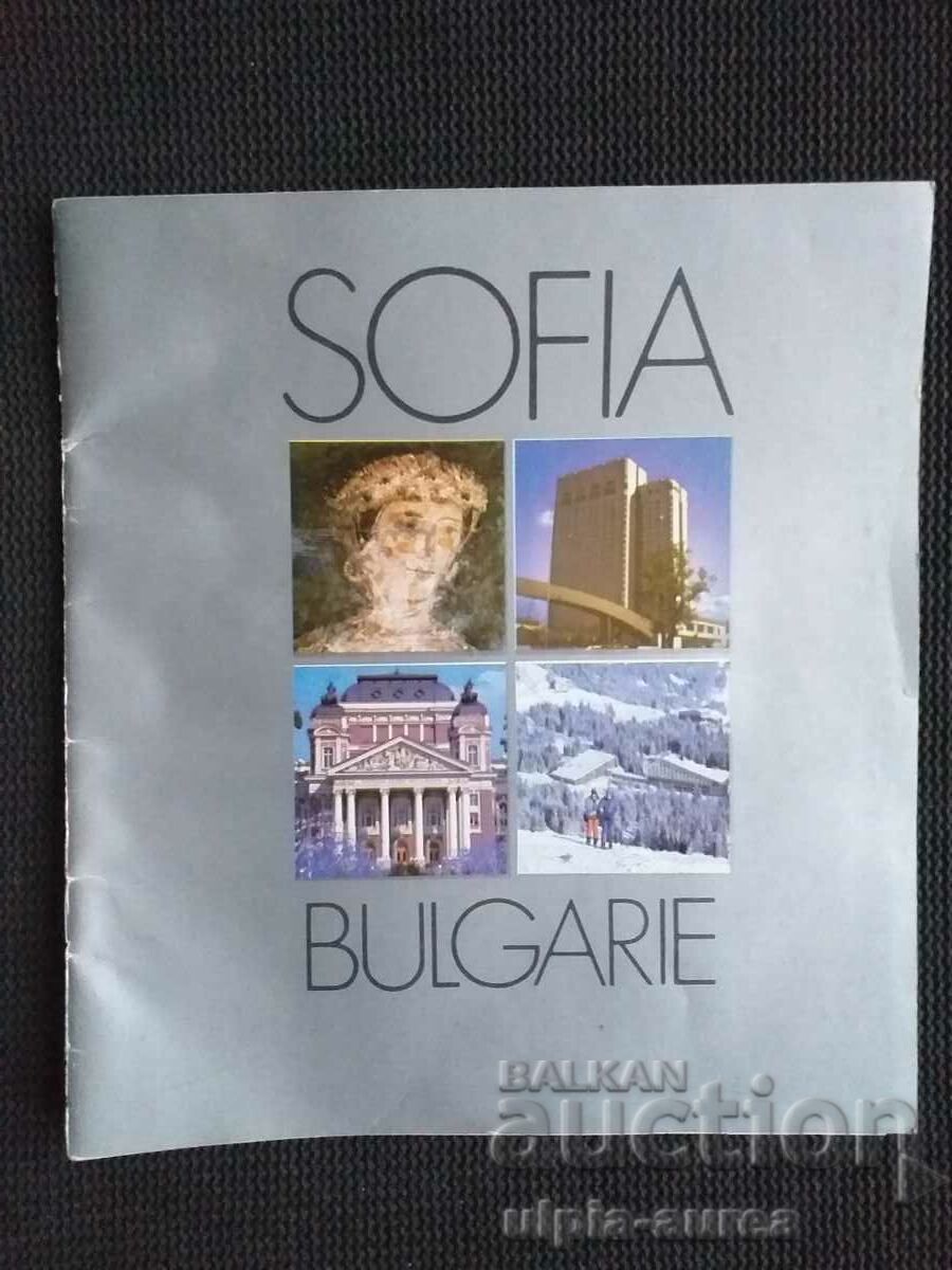 Sofia Social brochure