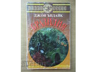 Brazilia - John Updike