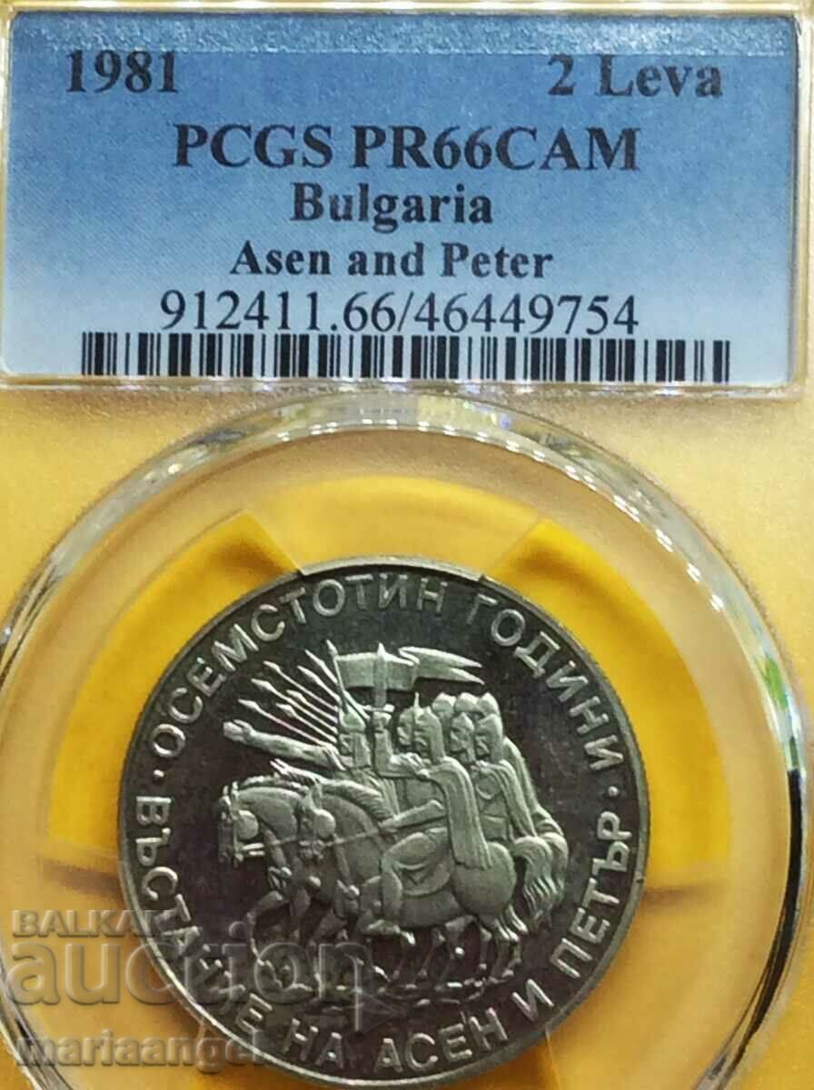 BGN 2 1981 PR 66 (!!!)CAM CAMEO PCGS LUXURY!