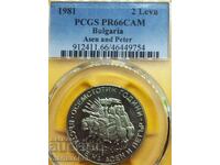 BGN 2 1981 PR 66 (!!!)CAM CAMEO PCGS LUXURY!