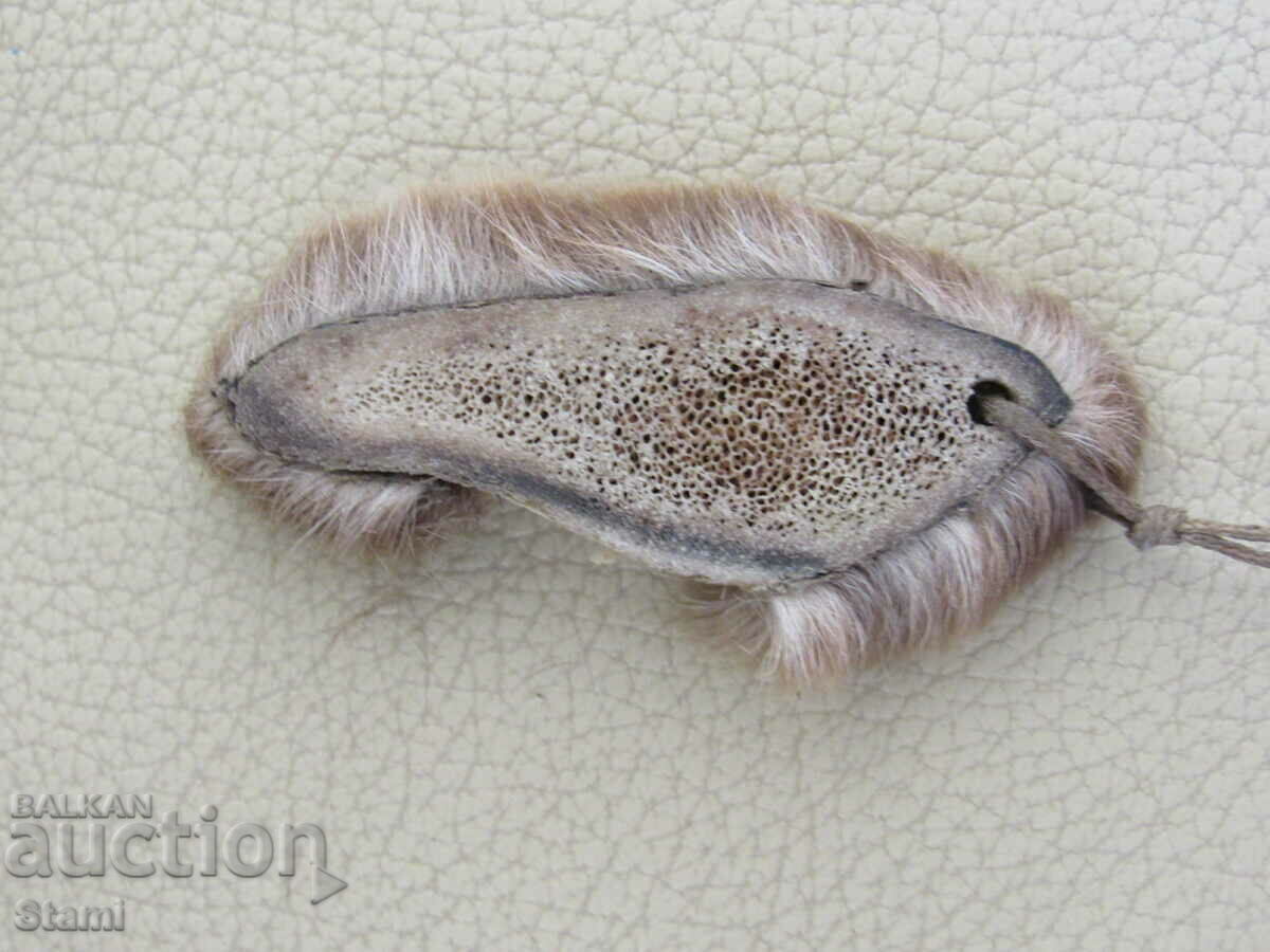 Delivery of Red deer antler necklace, Mongolia Delivery of Red deer antler necklace, Mongolia