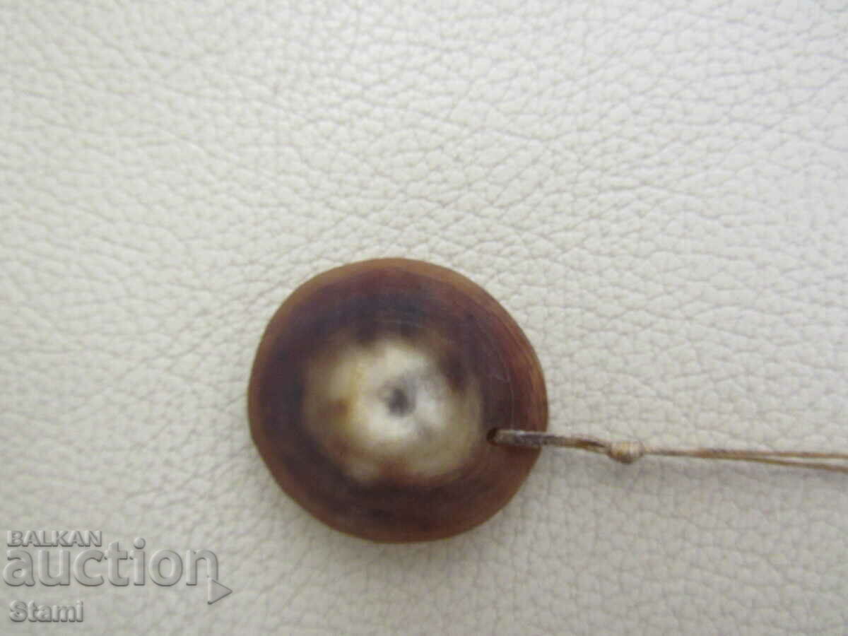 Delivery of Red deer antler necklace, Mongolia Delivery of Red deer antler necklace, Mongolia