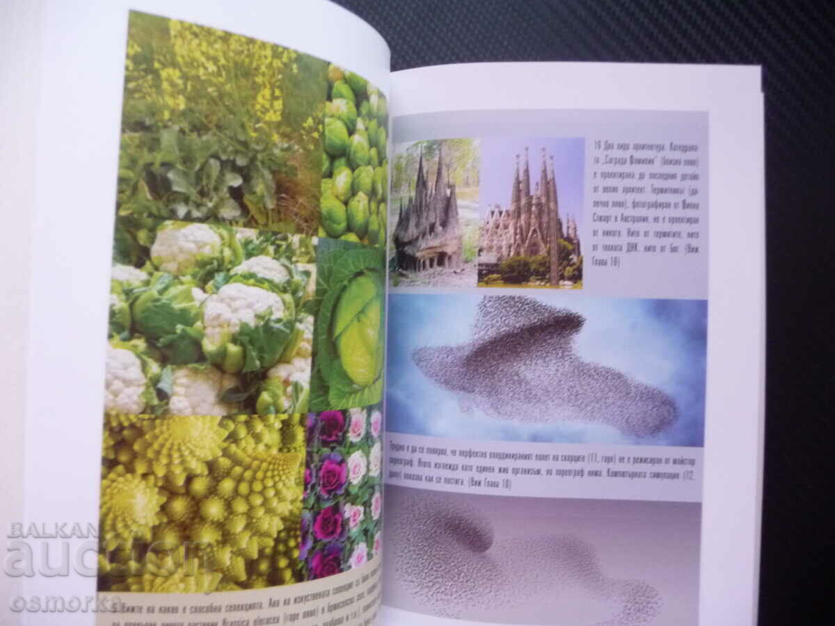 După Dumnezeu Un ghid pentru începători Richard Dawkins Zeii poporului cu preț 7.00 BGN | € 3.58 După Dumnezeu Un ghid pentru începători Richard Dawkins Zeii poporului cu preț 7.00 BGN | € 3.58