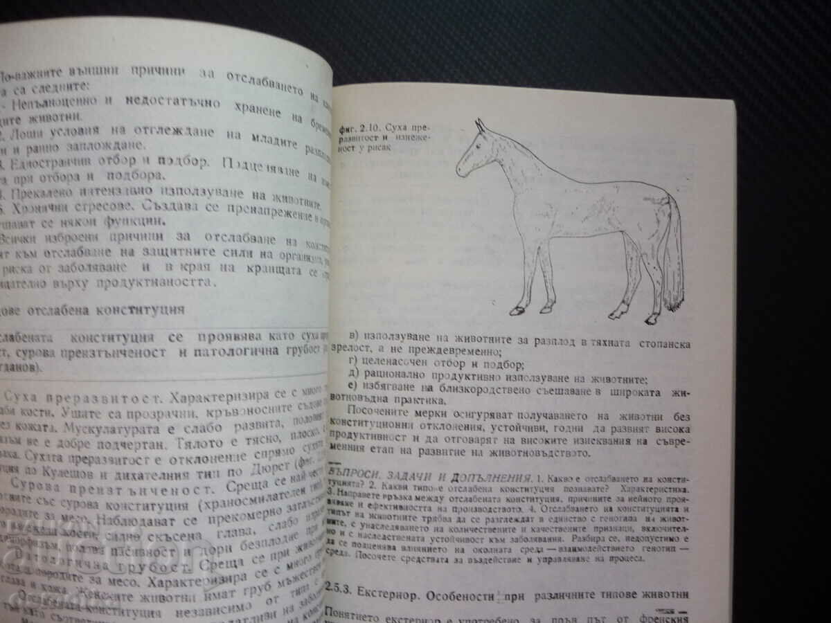 General animal husbandry nutrition breeding animal hygiene with price 29.00 BGN | € 14.83 General animal husbandry nutrition breeding animal hygiene with price 29.00 BGN | € 14.83