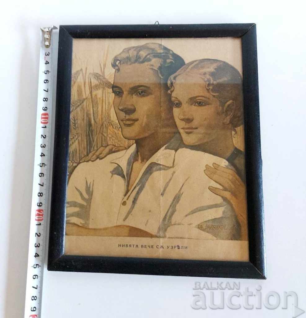 . KINGDOM OF BULGARIA "THEY ARE ALREADY RIPE" with price 25.00 BGN | € 12.78 . KINGDOM OF BULGARIA "THEY ARE ALREADY RIPE" with price 25.00 BGN | € 12.78