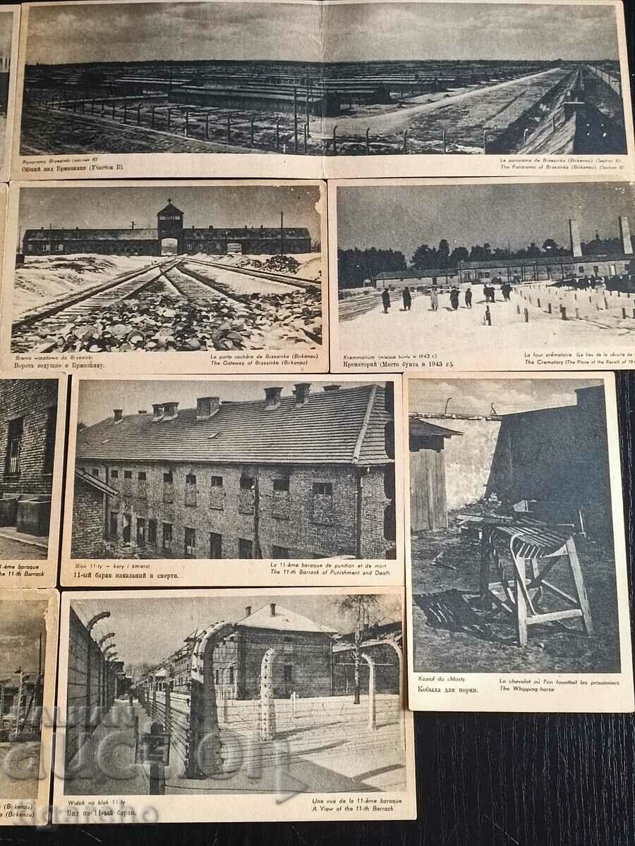 Delivery of Old concentration camp cards Delivery of Old concentration camp cards