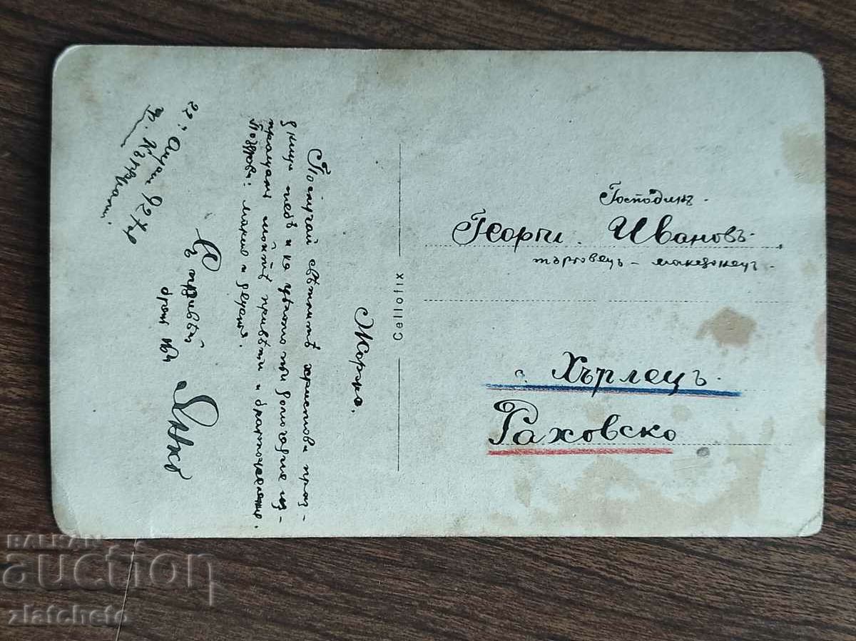 Auction Old photo Kingdom of Bulgaria - Auction Old photo Kingdom of Bulgaria -