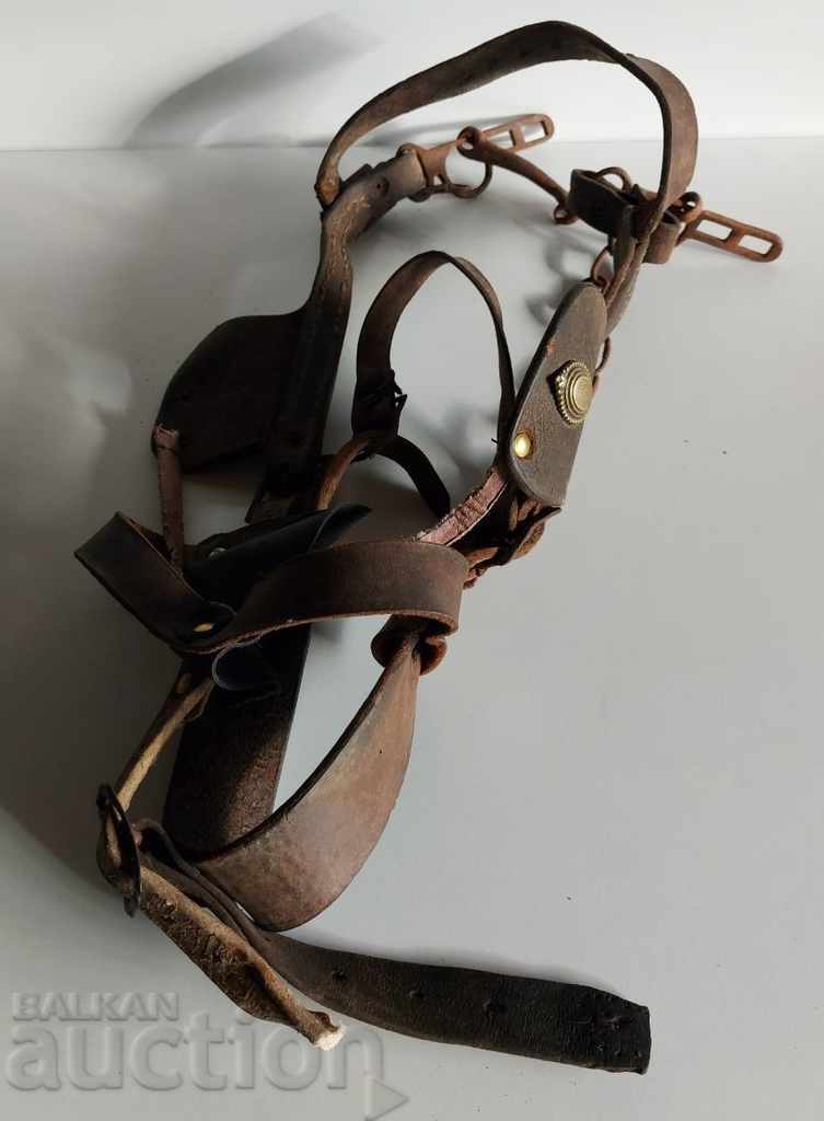 Auction . HORSE LEATHER AMMUNITION HARNESS HAIRBRIDLE WAGON HORSE Auction . HORSE LEATHER AMMUNITION HARNESS HAIRBRIDLE WAGON HORSE