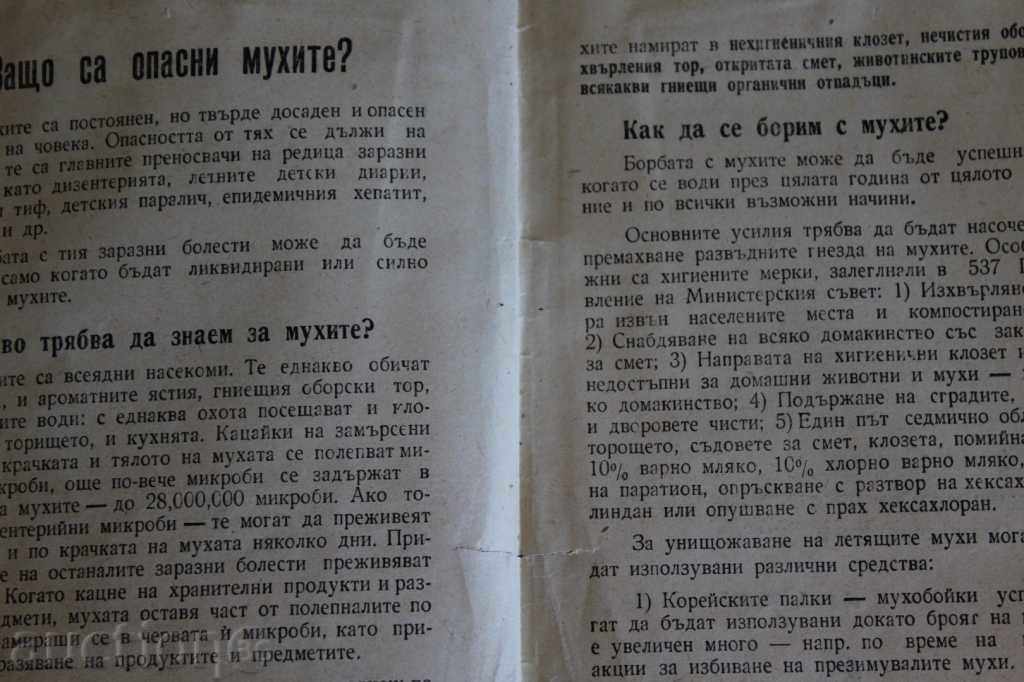 Auction  . 1960 FLY FIGHTING! WHY FLIES ARE DANGEROUS BROCHURE