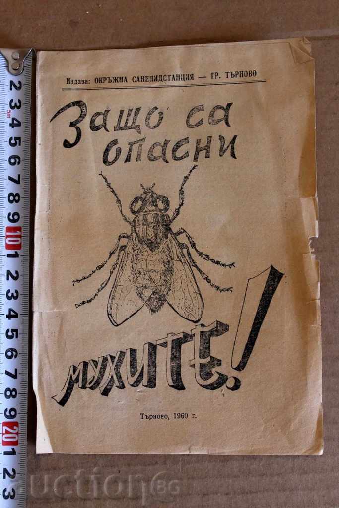 . 1960 Luptă cu zbura! DE CE MUSTELE SUNT PERICULOASE BROSURĂ