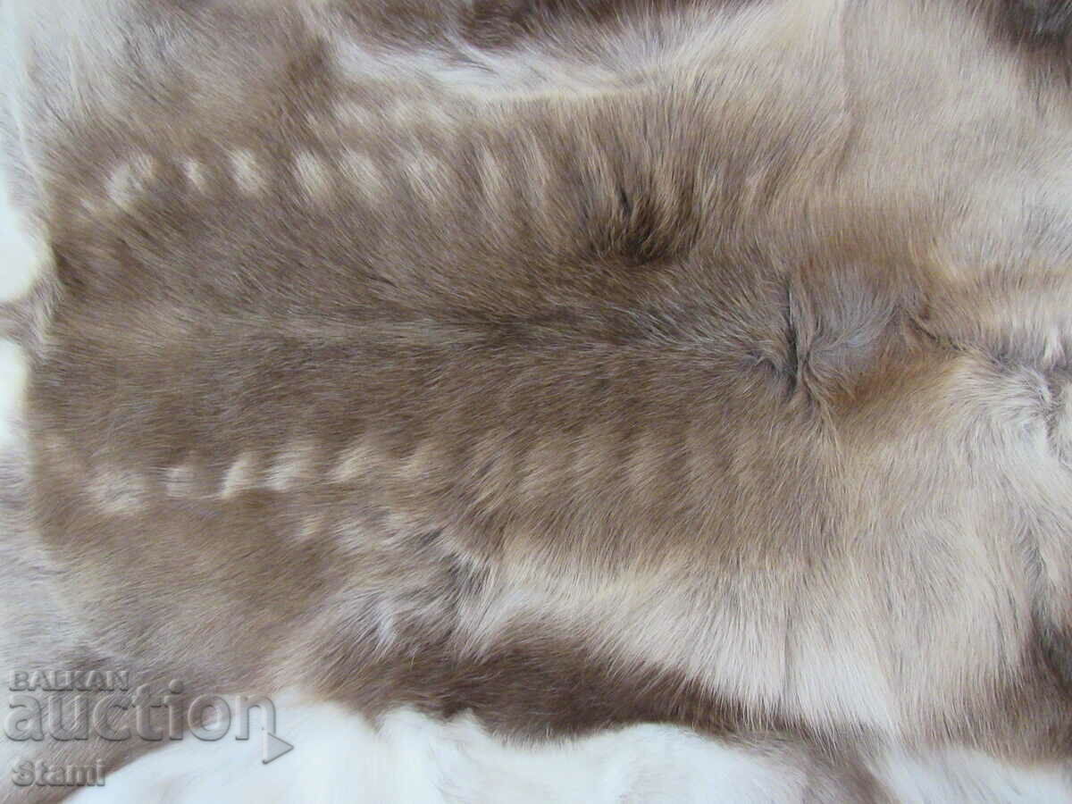 Reindeer skin, new, Sweden with price 550.00 BGN | € 281.21 Reindeer skin, new, Sweden with price 550.00 BGN | € 281.21