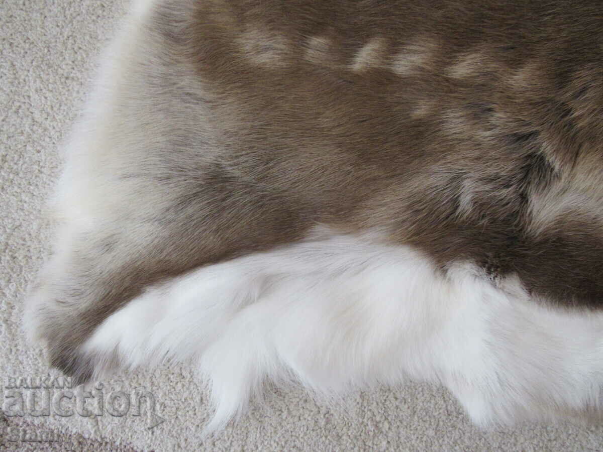 Auction Reindeer skin, new, Sweden Auction Reindeer skin, new, Sweden