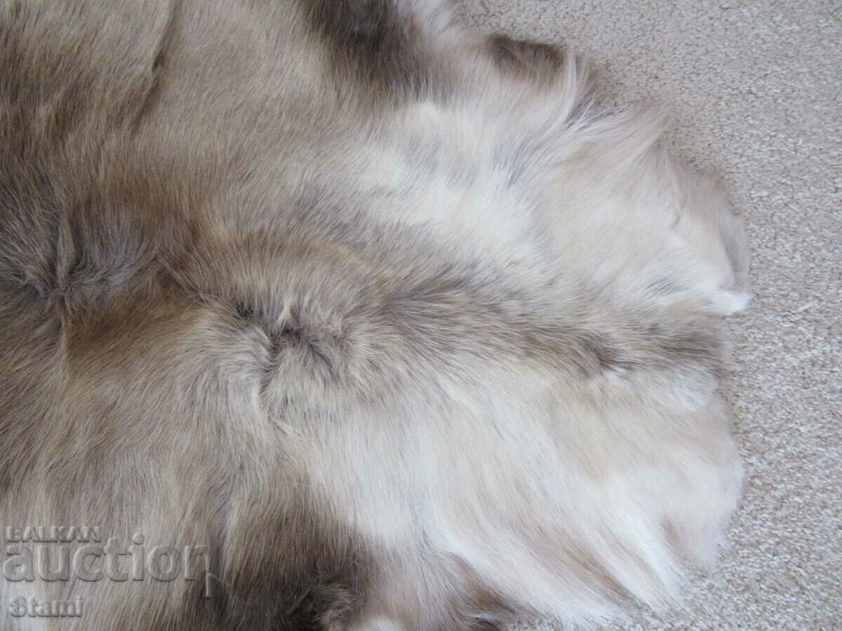 Delivery of Reindeer skin, new, Sweden Delivery of Reindeer skin, new, Sweden