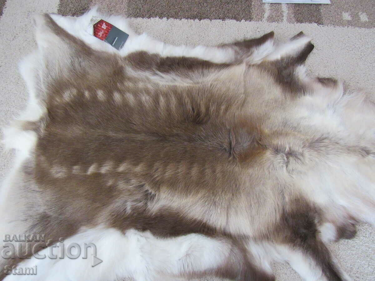 Reindeer skin, new, Sweden - 6 Reindeer skin, new, Sweden - 6