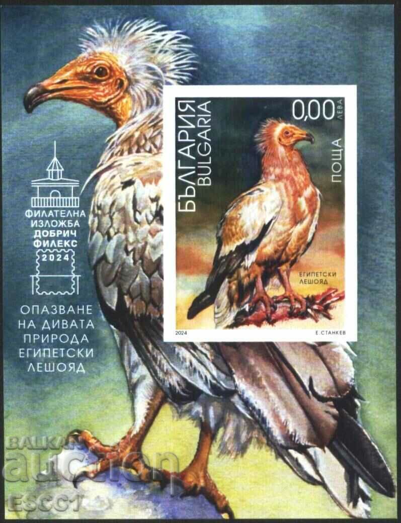 Clean souvenir block Fauna Bird Vulture 2024 from Bulgaria