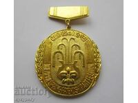 Παλαιό μετάλλιο Βόρεια Κορέα ΛΔΚ "Εαρινό Φεστιβάλ Τέχνης" 1986.