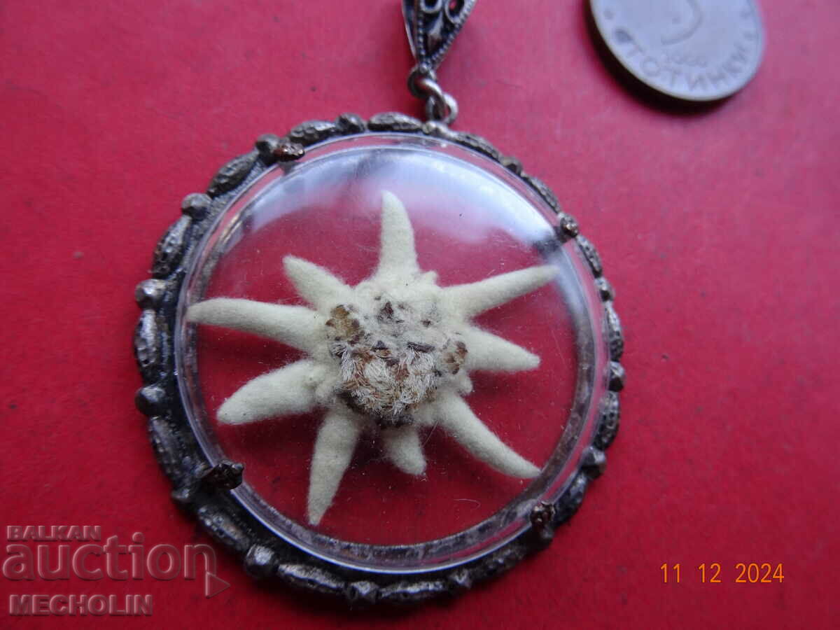 Pandantiv medalion de colecție edelweiss veche 1 cu preț 33.00 BGN | € 16.87 Pandantiv medalion de colecție edelweiss veche 1 cu preț 33.00 BGN | € 16.87