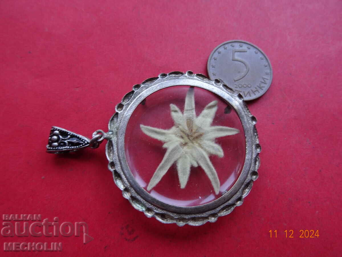 Livrarea Pandantiv medalion de colecție edelweiss veche 1 Livrarea Pandantiv medalion de colecție edelweiss veche 1