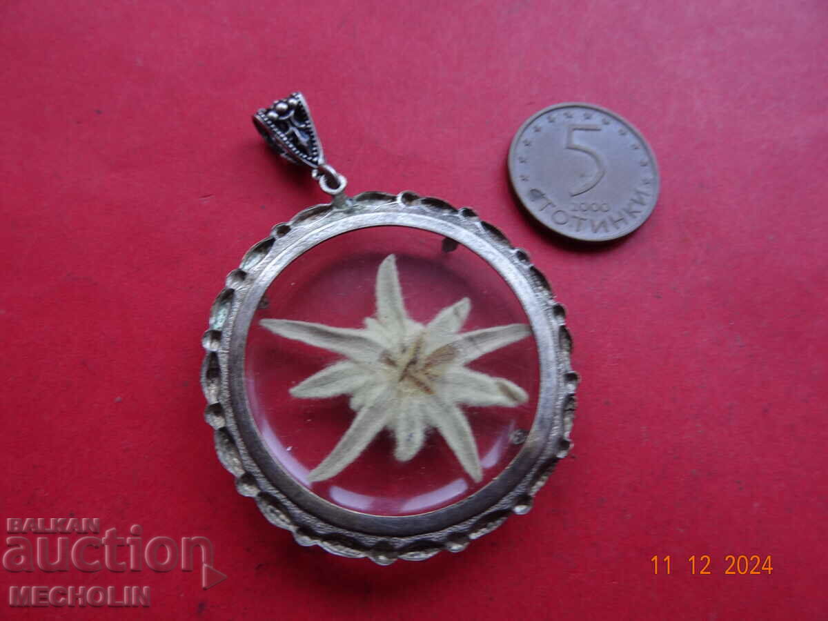 Pandantiv medalion de colecție edelweiss veche 1 - 5 Pandantiv medalion de colecție edelweiss veche 1 - 5